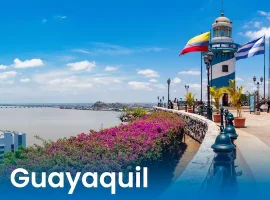CDI GUAYAQUIL_Mesa de trabajo 1 (1)